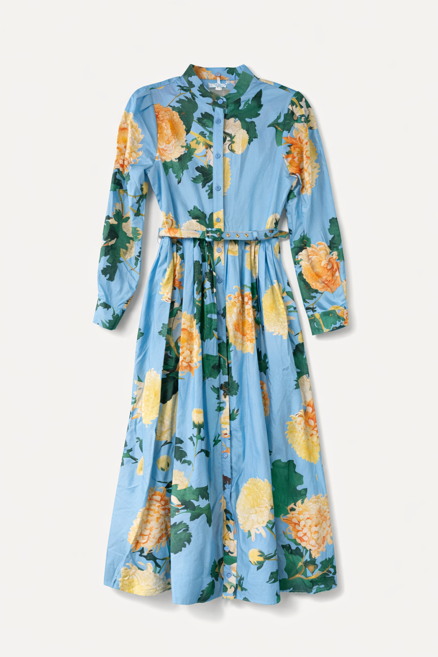 Sky Blue and Yellow Floral Print Dress
