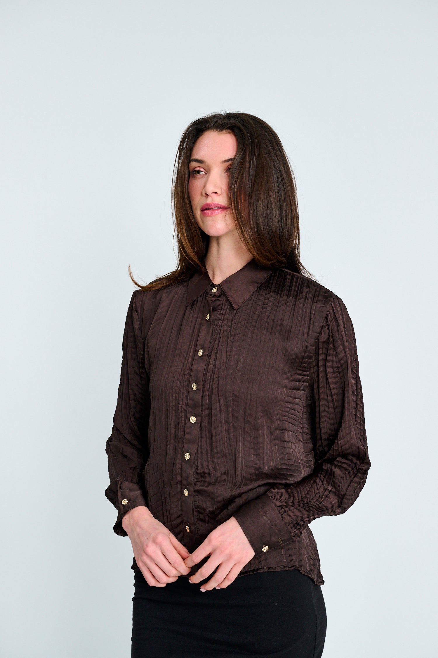 Brown Pleated Button-Down Blouse - Brown