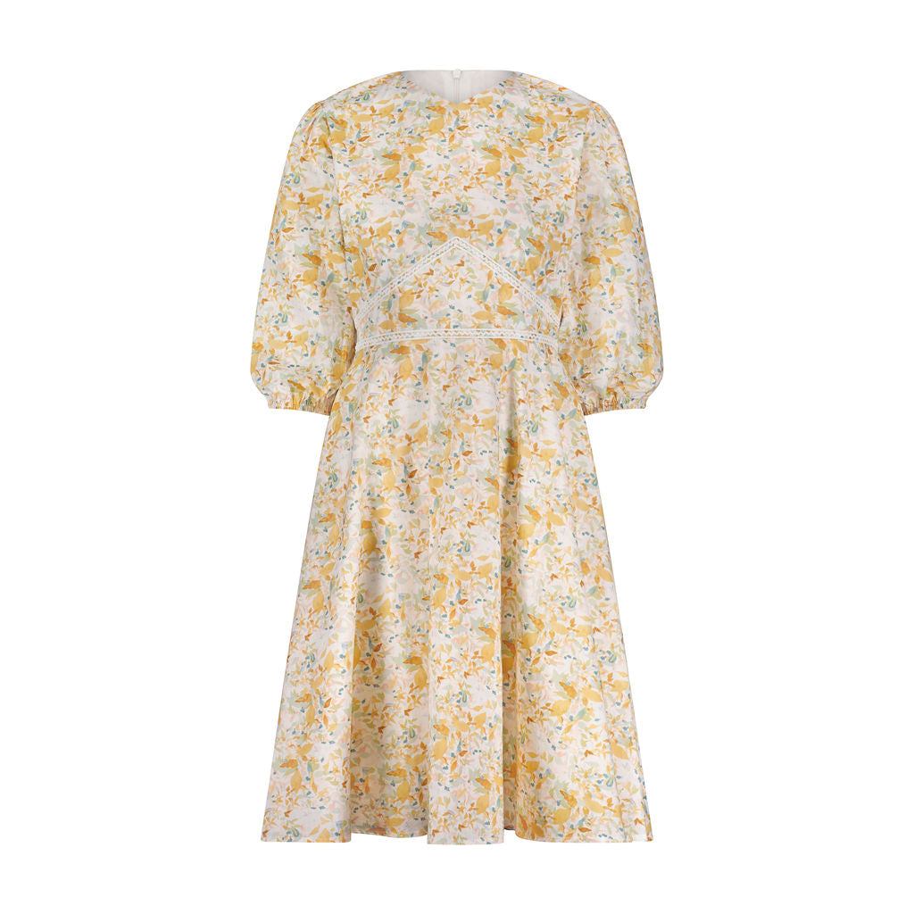 Cotton Anna Dress- Sage Floral