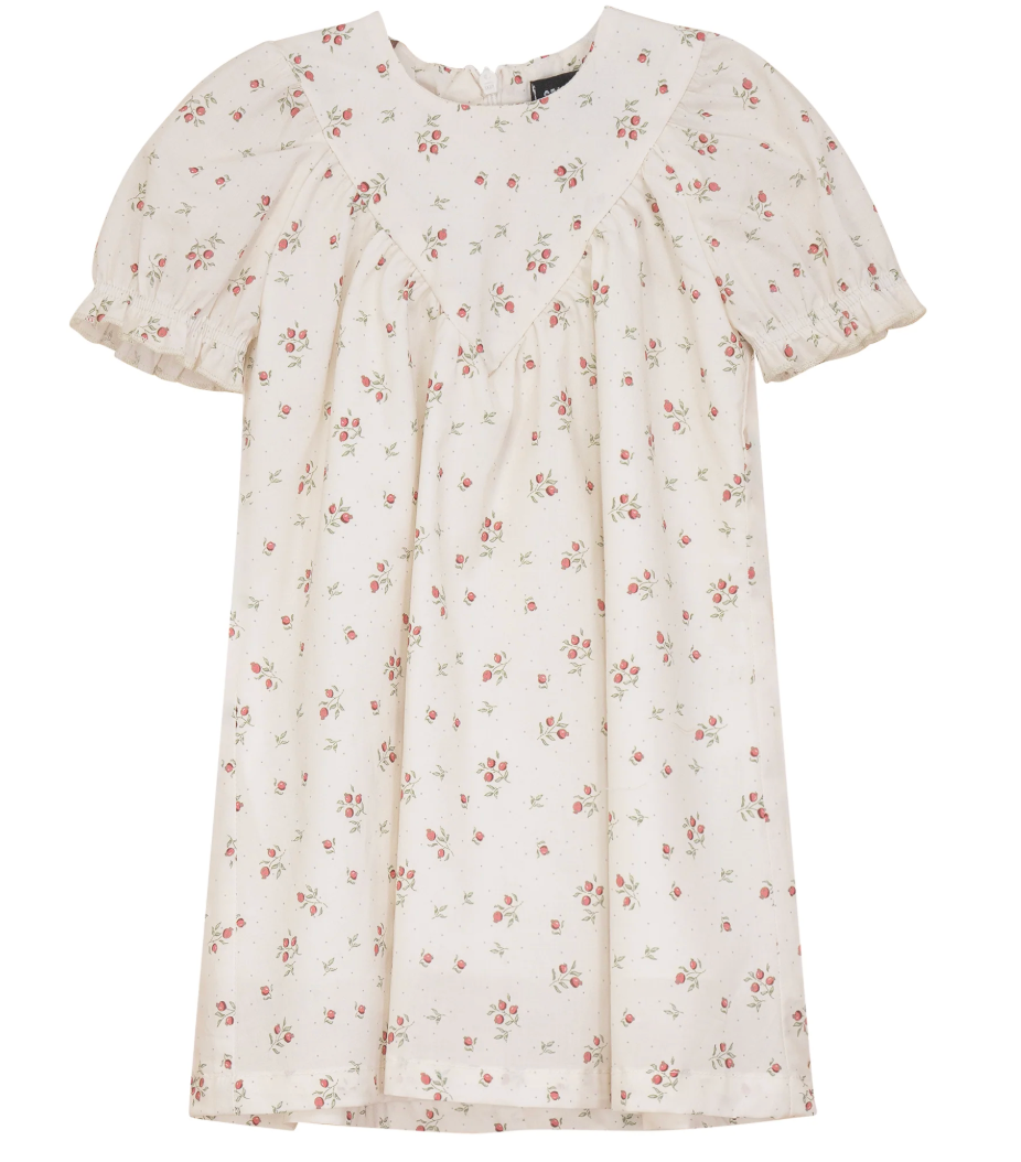 Pomegranate Print Dress