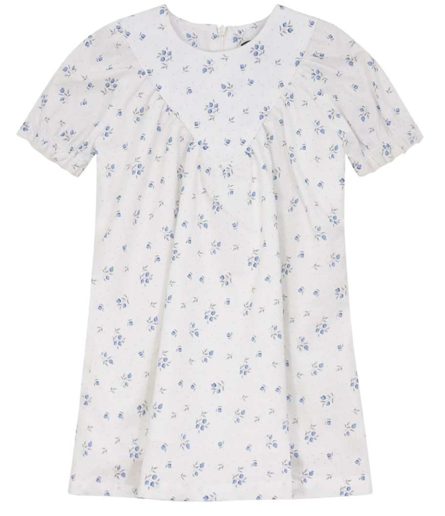 Blueberry Print Dress